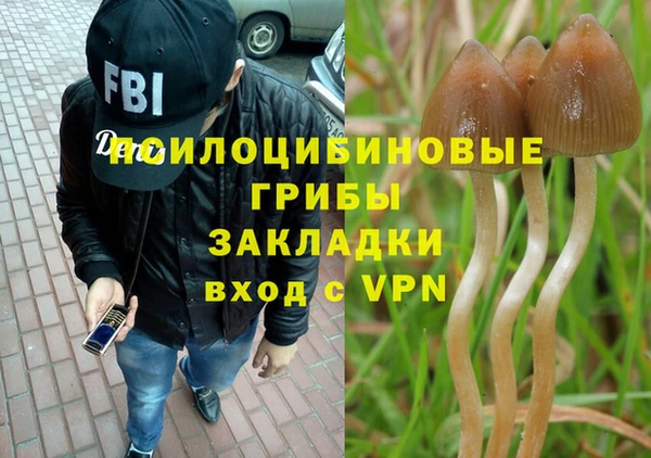 гашиш Нея